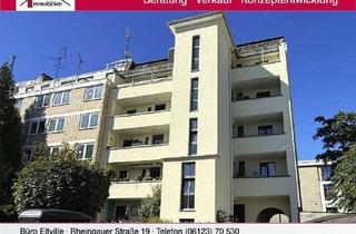 Mehrfamilienhaus kaufen in 63075 Bürgel, Umfangreich saniertes Mehrfamilienhaus mit 9 Top Wohnungen und großem Grundstück