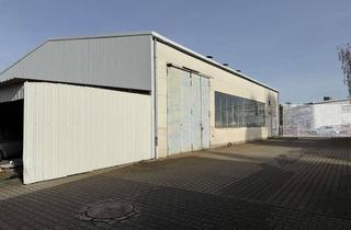 Gewerbeimmobilie kaufen in 68775 Ketsch, Gewerbegrundstück mit Bungalow und Halle