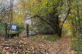 Grundstück zu kaufen in Am Engelsbacher Weg, 99894 Friedrichroda, Idyllisches Grundstück für Landwirtschaft, Freizeit & Erholung