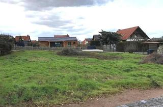 Grundstück zu kaufen in 06317 Seegebiet Mansfelder Land, Seltene Gelegenheit - Baugrundstück in Aseleben - unweit vom Süßen See