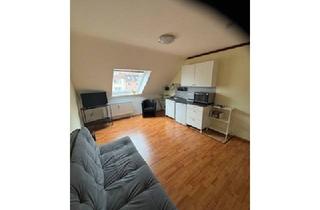 Wohnung mieten in 97421 Schweinfurt, Vollmöbliertes 1 Zi. Apartment in der Innenstadt von Schweinfurt zu vermieten