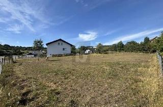 Grundstück zu kaufen in 35753 Greifenstein, GESTALTUNGSFREIHEIT TRIFFT RUHE UND NATUR