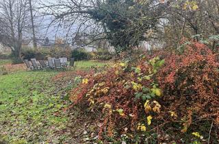 Immobilie kaufen in Grubfeld, 96123 Litzendorf, Schönes eingewachsenes Grundstück in guter Lage, Wohngebiet