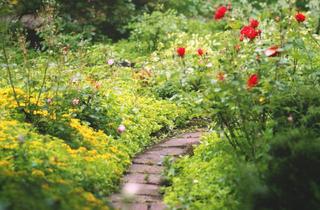 Haus kaufen in 91555 Feuchtwangen, *** EIN HAUS WIE DIESES GIBT ES NUR EINMAL – Einzigartiges Architektenhaus mit 10-Eck- Grundriss und Einliegerwohnung in Feuchtwangen ***