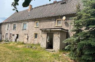 Bauernhaus kaufen in 04862 Mockrehna, Mockrehna - Haus idyllische Lage