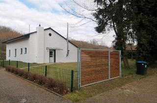Einfamilienhaus kaufen in 27367 Sottrum, Sottrum - Bungalow in Sottrum mit großem Grundstück Haus Einfamilienhaus