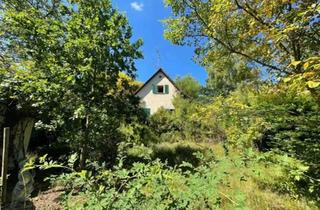 Haus kaufen in 97779 Geroda, Geroda - Zwei Häuser auf einem paradiesischen Grundstück