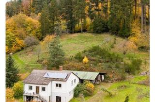 Einfamilienhaus kaufen in 79258 Hartheim, Hartheim am Rhein - Immobilen in sulzburg 79295