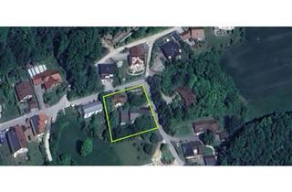 Einfamilienhaus kaufen in 93346 Ihrlerstein, Ihrlerstein - Großes, grünes Grundstück mit Altbau (Wohnhaus und Nebengebäude)