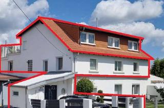 Loft kaufen in 67592 Flörsheim-Dalsheim, Exklusive Maisonettewohnung mit Loftcharakter, Kamin und sonniger Dachterrasse