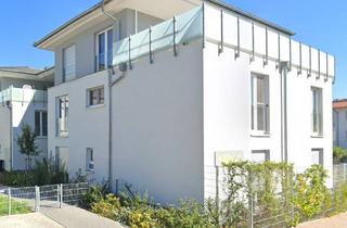 Penthouse mieten in 76863 Herxheim, Wunderschöne 2,5-Zimmer-Penthouse-Wohnung mit zwei Balkonen und EBK in Herxheim