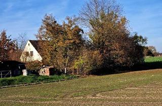 Grundstück zu kaufen in Jedenhofener Straße, 85256 Vierkirchen, Sonniges Grundstück mit Altbestand