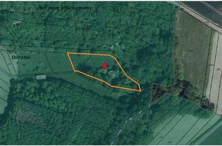 Grundstück zu kaufen in 37345 Jützenbach, ***Landwirtschaftsfläche mit Wald in Jützenbach/Dörstal Thüringen***PROVISIONSFREI