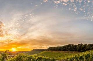Grundstück zu kaufen in 76889 Klingenmünster, Schönes Grundstück - ruhig gelegen in Klingenmünster.