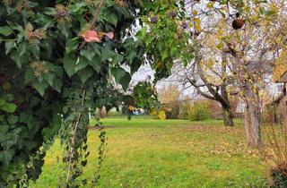 Grundstück zu kaufen in 75438 Knittlingen, Großes Baugrundstück in Knittlingen - Flexible Bebauung gemäß §34 BauGB