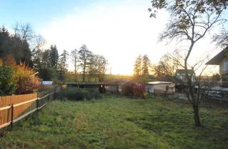 Grundstück zu kaufen in 07919 Mühltroff, Ihr Platz im Grünen – idyllisches Grundstück mit Aussicht und Ruhe in Mühltroff