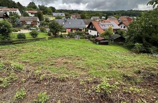 Grundstück zu kaufen in 69239 Neckarsteinach, Neckarsteinach - Darsberg Bauplatz