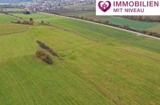 Gewerbeimmobilie kaufen in 89561 Dischingen, 1,76 ha Grünland in Dischingen, 1a Lage, 1a Erträge, 1a Investment!