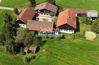 Gewerbeimmobilie kaufen in 94424 Arnstorf, Rottaler Vierseithof