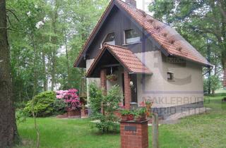 Haus kaufen in 03096 Burg, IDYLLE PUR - MASSIV GEBAUTES FERIENHAUS IN BURG (SPREEWALD)