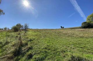 Haus kaufen in 56729 Anschau, Zwei hochwertige Einfamilien- Ferienhäuser in idyllischer Eifellage - ideal für Tierhaltung