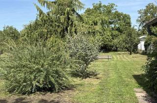 Haus kaufen in 76479 Steinmauern, Grüne Oase mit Charakter - ruhig gelegen und stilvoll modernisiert