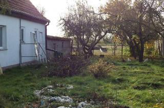 Haus kaufen in 15328 Küstriner Vorland, Küstriner Vorland - Leben unter dem weiten Himmel des Oderbruchs