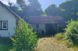 Einfamilienhaus kaufen in 35325 Mücke, Mücke - Einfamilienhaus mit großem Grundstück in Nieder-Ohmen