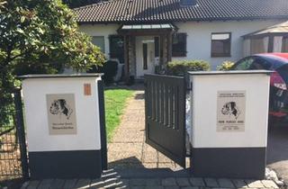 Einfamilienhaus kaufen in 42855 Remscheid, Remscheid - Modernisiertes Einfamilienhaus mit Außenpool in RSW'tal Ronsdorf