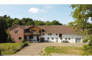 Haus kaufen in 31606 Warmsen, Großzügiges Landhaus mit Mietswohnung, Pferdehaltung und 22 kW-Photovoltaikanlage in traumhafter All