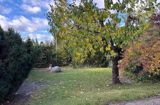 Haus mieten in 12309 Lichtenrade, Charmantes Reihenendhaus mit 6 Zimmern in Berlin-Lichtenrade
