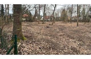 Grundstück zu kaufen in 14532 Kleinmachnow, Traumgrundstück in Kleinmachnow am Buschgraben von privat