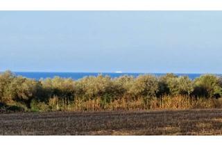 Grundstück zu kaufen in Alte Schule 14, 18211 Börgerende, 1. Reihe mit Meerblick