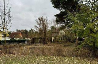 Grundstück zu kaufen in Sandbacher Weg 120, 12526 Bohnsdorf, Großes Baugrundstück - viel Entwicklungspotenzial