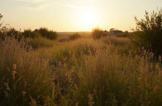 Grundstück zu kaufen in 06808 Bitterfeld-Wolfen, Grundstück in Holzweißig zum Kauf - provisions- & bauträgerfrei