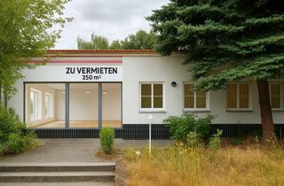Praxen mieten in Straße Des Friedens -TOP, 06773 Gräfenhainichen, #VisionWirdFläche – Workspace für Visionäre! Praxis · Fitness · Office · Shop – Starte jetzt!