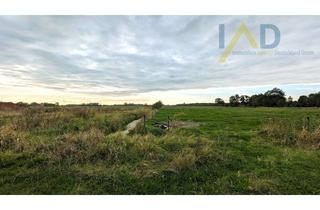 Gewerbeimmobilie kaufen in 26936 Stadland, Attraktive Investitionsmöglichkeit: Grünland + Solarfläche in der Wesermarsch