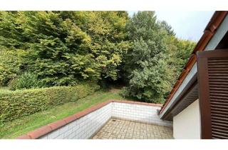 Wohnung mieten in 64743 Beerfelden, Schöne, energetisch sanierte DG-Wohnung mit Balkon & Terrasse, idyllisch am Waldrand gelegen