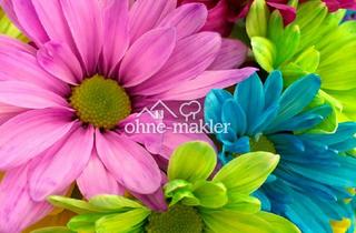 Geschäftslokal mieten in 60435 Preungesheim, Blumenladen in sehr guter Lage (gegen Abstand abzugeben)