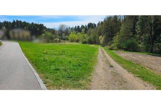 Grundstück zu kaufen in 93142 Maxhütte-Haidhof, Traumhaft gelegenes, voll erschlossenes Eckgrundstück ohne Bauzwang am Waldrand in Maxhütte-Haihdof