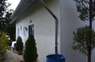 Einfamilienhaus kaufen in 01594 Stauchitz, Stauchitz - Sehr schönes Einfamilienhaus mit Garten in StauchitzSachsen