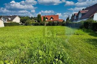 Grundstück zu kaufen in 93358 Train, Train - WALDRANDLAGE FÜR IHREN WOHNTRAUM