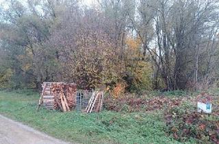 Grundstück zu kaufen in 82290 Landsberied, Landsberied - IDYLLISCHES WALDSTÜCK AM ORTSRAND