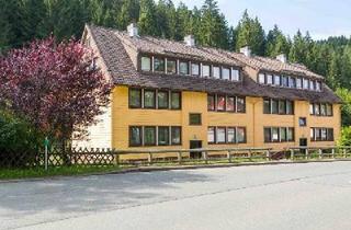 Wohnung kaufen in 38709 Wildemann, Clausthal-Zellerfeld - Wohnung im Harz