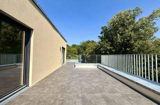 Penthouse kaufen in Steinweg 19, 90513 Zirndorf, Exklusives Penthouse mit traumhafter Dachterrasse und Parkblick