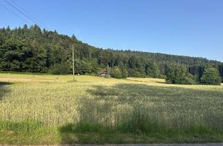 Wohnung kaufen in 77736 Zell, Traumhafte Wohnungen in idyllischem Fachwerkhaus umgeben von freier Natur
