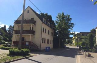 Wohnung mieten in Neue Hauptstraße 73, 09618 Brand-Erbisdorf, Gelegenheit! große 2- Raum- Wohnung im Erdgeschoß mit Garage und Terrasse zu vermieten