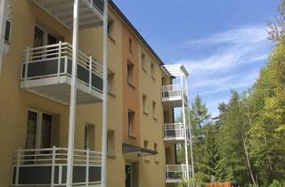 Wohnung mieten in Hellendorfer Str. 41a, 01816 Bad Gottleuba, 4-Zimmer-Wohnung im erholsamen Bad Gottleuba *ein Monat kaltmietfrei*