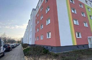 Wohnung mieten in Trattendorfer Straße 22, 03048 Sachsendorf, Sanierte 2-Zimmer-Wohnung ab 01.02.2026!