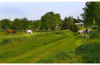Wohnung mieten in Lehbreite 20, 06311 Helbra, Schöne 2-Raumwohnung in Helbra